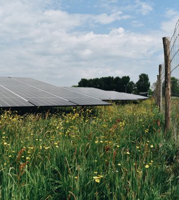 Zonneperceel Oppenhuizen